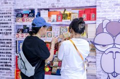 个由智瞰深鉴（）科技无限公司派出的明星产物